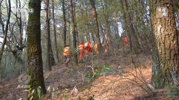 焦点访谈丨严防小火酿大祸!清明前后怎么严防森林火灾? 焦点访谈丨严防小火酿大祸!清明前后怎么严防森林火灾?