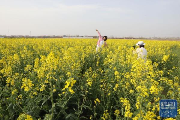 花开神州春光好