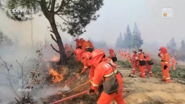 焦点访谈丨严防小火酿大祸!清明前后怎么严防森林火灾? 焦点访谈丨严防小火酿大祸!清明前后怎么严防森林火灾?