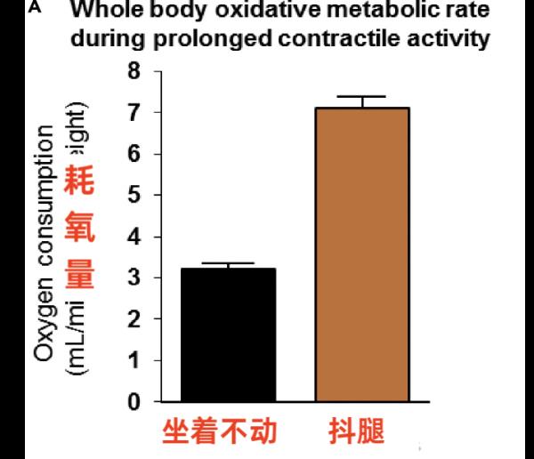 每天久坐的人，他们身体器官正在悄悄发生变化……