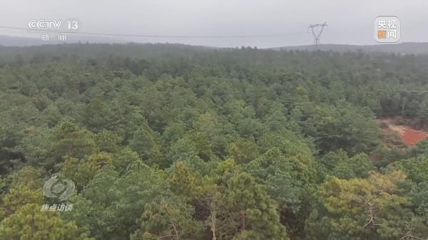 焦点访谈丨严防小火酿大祸!清明前后怎么严防森林火灾? 焦点访谈丨严防小火酿大祸!清明前后怎么严防森林火灾?