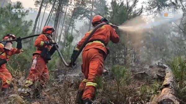焦点访谈丨严防小火酿大祸!清明前后怎么严防森林火灾? 焦点访谈丨严防小火酿大祸!清明前后怎么严防森林火灾?