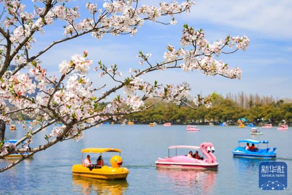 花开神州春光好