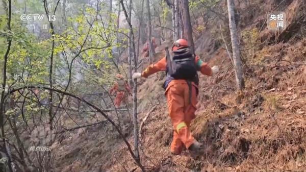 焦点访谈丨严防小火酿大祸!清明前后怎么严防森林火灾? 焦点访谈丨严防小火酿大祸!清明前后怎么严防森林火灾?