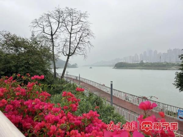 清明拜山请注意!广西降温又降雨