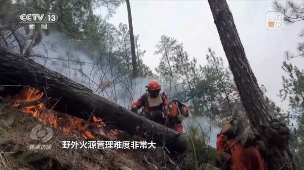 焦点访谈丨严防小火酿大祸!清明前后怎么严防森林火灾? 焦点访谈丨严防小火酿大祸!清明前后怎么严防森林火灾?
