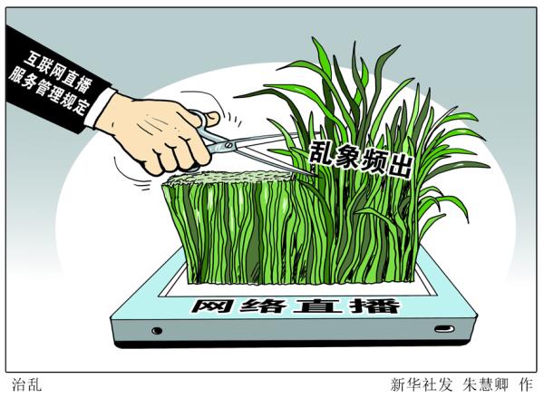 如此丑陋,咋成了“美丽”网红? 如此丑陋,咋成了“美丽”网红?