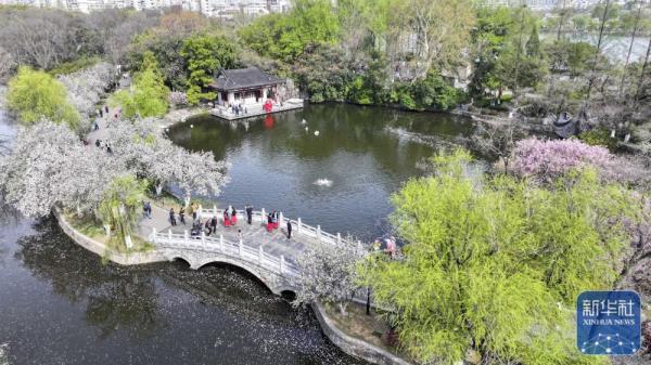 花开神州春光好