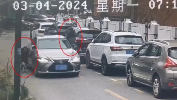 事发上海多个小区!“戏精父子”狂飙演技,假装被撞索要赔偿金 事发上海多个小区!“戏精父子”狂飙演技,假装被撞索要赔偿金