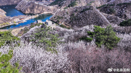 北京水长城山花烂漫正当时 北京水长城山花烂漫正当时