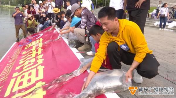 15万尾鱼苗放流邕江！