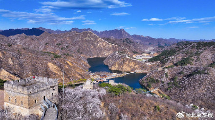 北京水长城山花烂漫正当时 北京水长城山花烂漫正当时