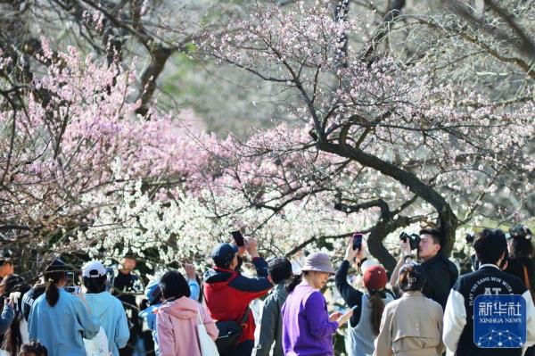 山东青岛：花季相约 拥抱春天