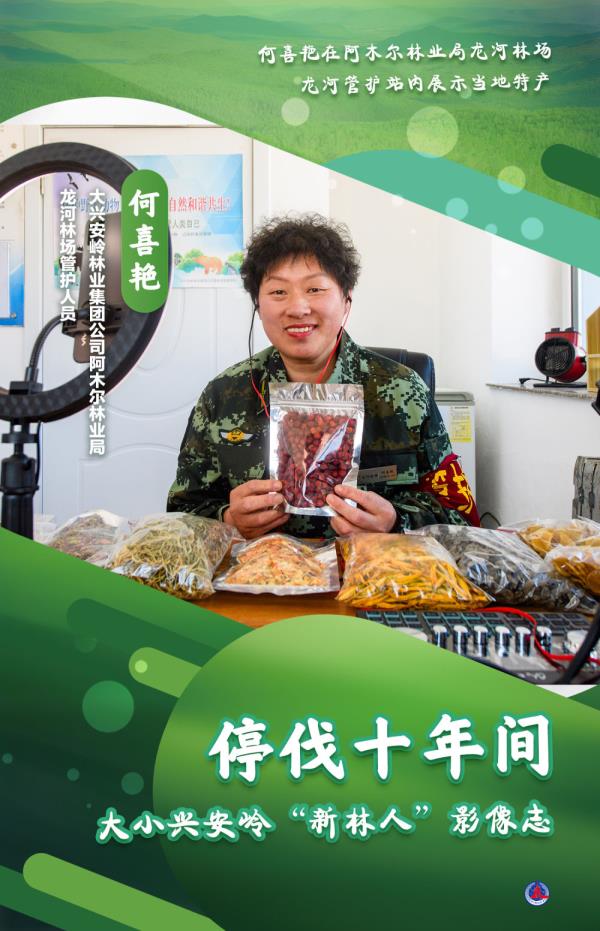 海报丨大小兴安岭的“新林人” 海报丨大小兴安岭的“新林人”