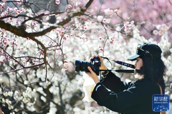 山东青岛：花季相约 拥抱春天