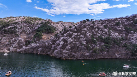 北京水长城山花烂漫正当时 北京水长城山花烂漫正当时