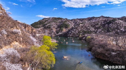 北京水长城山花烂漫正当时 北京水长城山花烂漫正当时