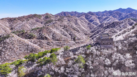 北京水长城山花烂漫正当时 北京水长城山花烂漫正当时