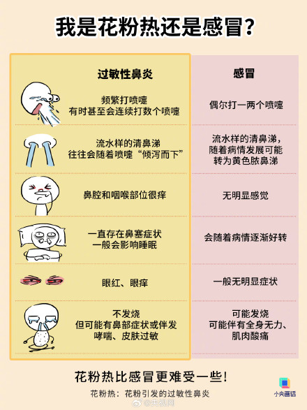 花粉过敏不治疗或诱发哮喘 花粉过敏不治疗或诱发哮喘