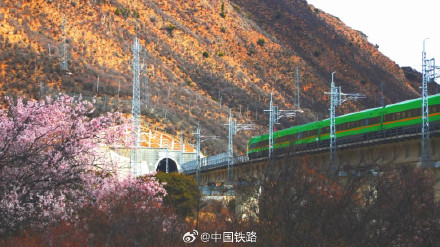 坐火车去林芝看桃花 坐火车去林芝看桃花