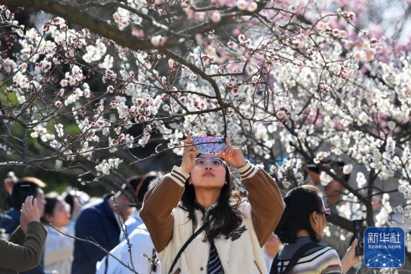 山东青岛：花季相约 拥抱春天
