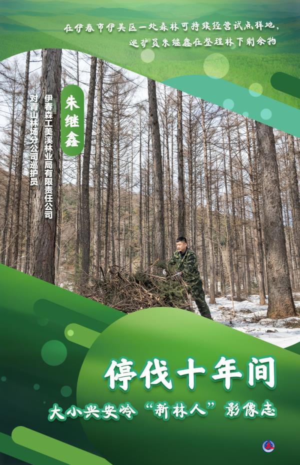 海报丨大小兴安岭的“新林人” 海报丨大小兴安岭的“新林人”