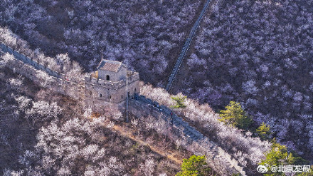 北京水长城山花烂漫正当时 北京水长城山花烂漫正当时