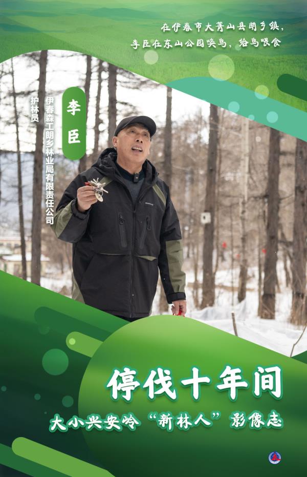 海报丨大小兴安岭的“新林人” 海报丨大小兴安岭的“新林人”