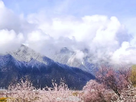坐火车去林芝看桃花 坐火车去林芝看桃花