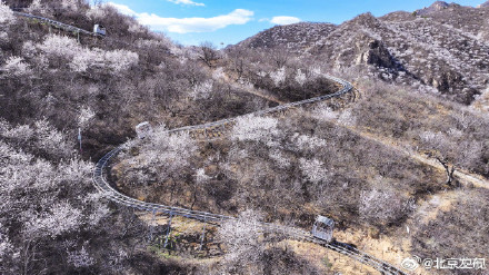 北京水长城山花烂漫正当时 北京水长城山花烂漫正当时