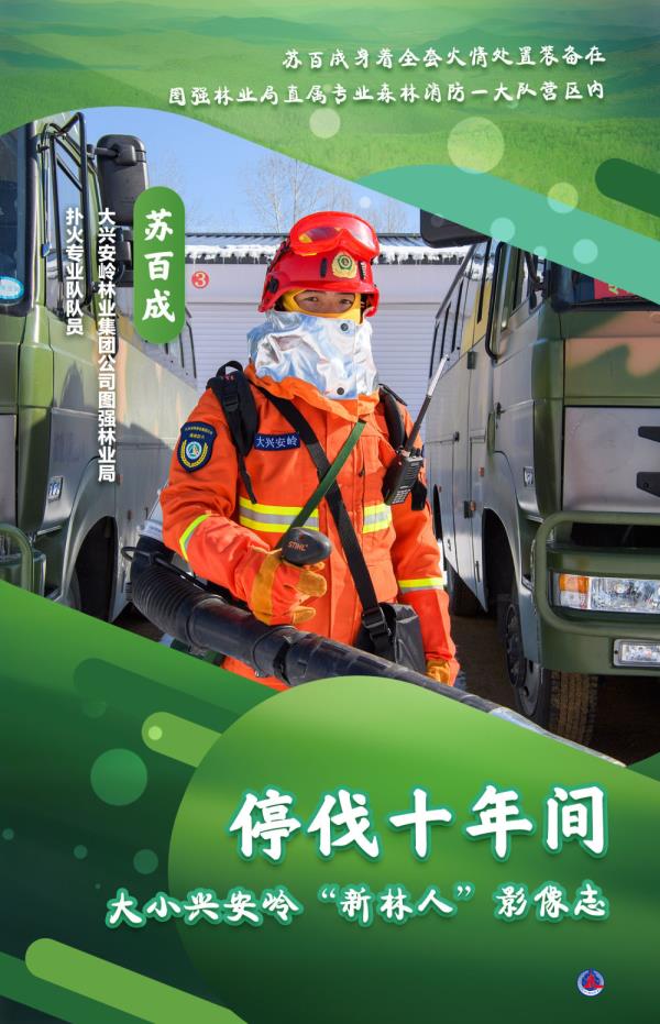 海报丨大小兴安岭的“新林人” 海报丨大小兴安岭的“新林人”