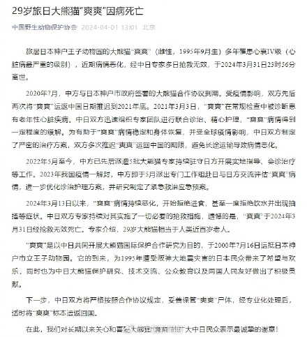 29岁旅日大熊猫“爽爽”因病死亡