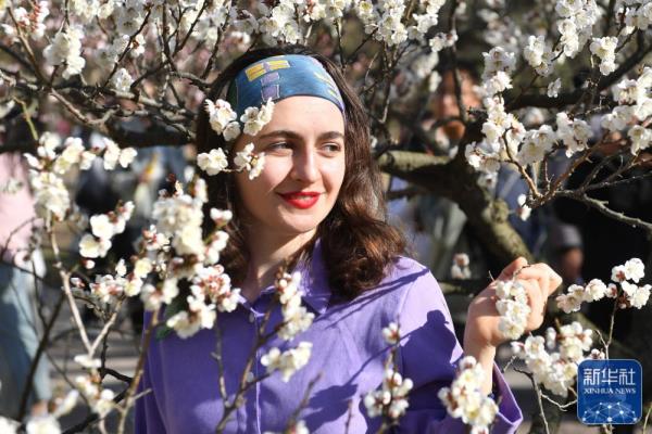 山东青岛：花季相约 拥抱春天