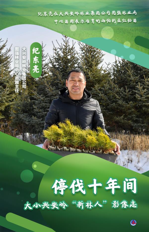 海报丨大小兴安岭的“新林人” 海报丨大小兴安岭的“新林人”