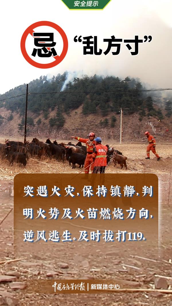 降温+降雨！北京气温过山车“发车”了！请抓紧扶好→