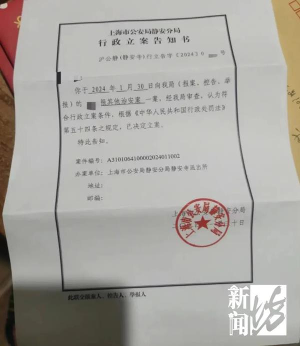 上海知名公园流浪猫被虐！获救之后，猫咪们又将何去何从？