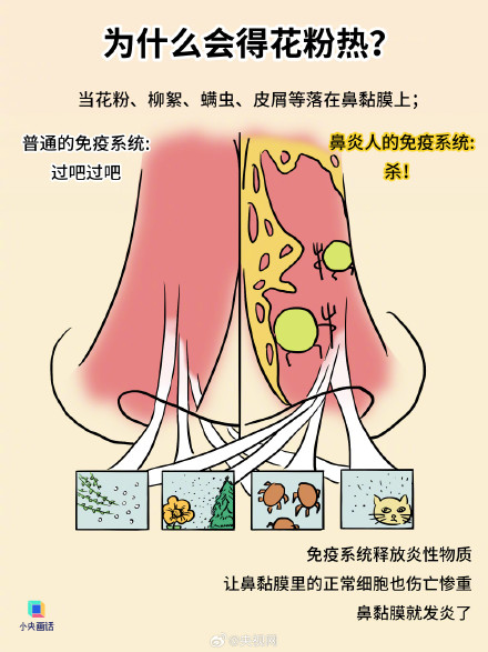 花粉过敏不治疗或诱发哮喘 花粉过敏不治疗或诱发哮喘