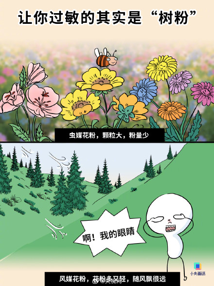 花粉过敏不治疗或诱发哮喘 花粉过敏不治疗或诱发哮喘