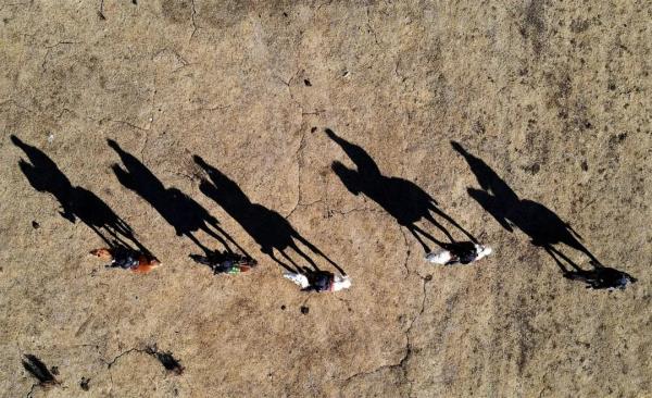 走村入户、登门服务、排忧解难……他们是金马草原上的“背包警察”