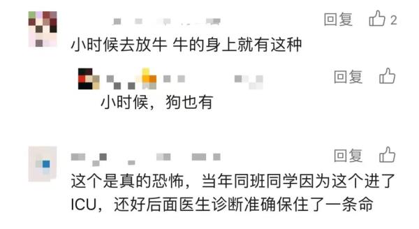 注意！这个“黑点”又来了，严重可致命