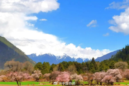 坐火车去林芝看桃花 坐火车去林芝看桃花