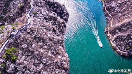北京水长城山花烂漫正当时 北京水长城山花烂漫正当时