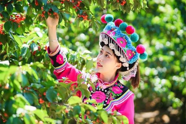 【月月有滇约】平均3天一个节，云南人的四月“节日单”来啦！
