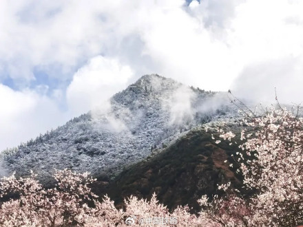 坐火车去林芝看桃花 坐火车去林芝看桃花