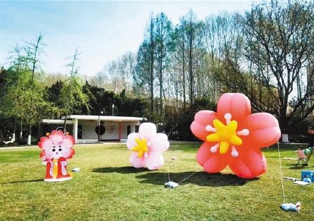 清明节假期西安交大将对社会开放 市民可微信预约赏花 清明节假期西安交大将对社会开放 市民可微信预约赏花