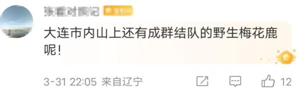 人人人人人……又一地火爆全网！