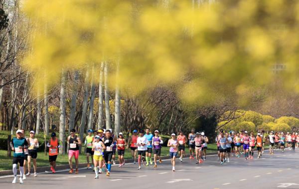 从只有26人到一签难求——“石马”见证石家庄体育升温 从只有26人到一签难求——“石马”见证石家庄体育升温