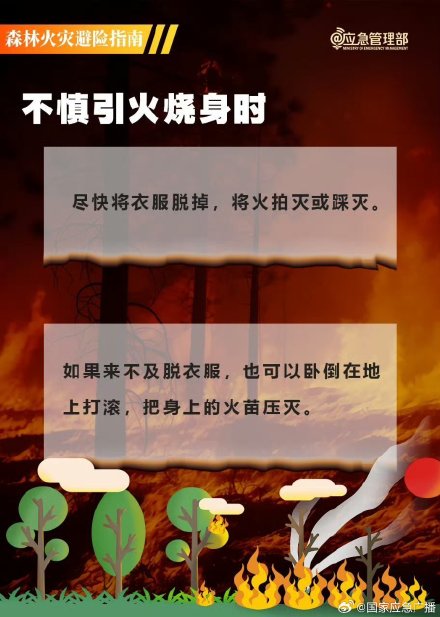 山火逃生三大误区 山火逃生三大误区