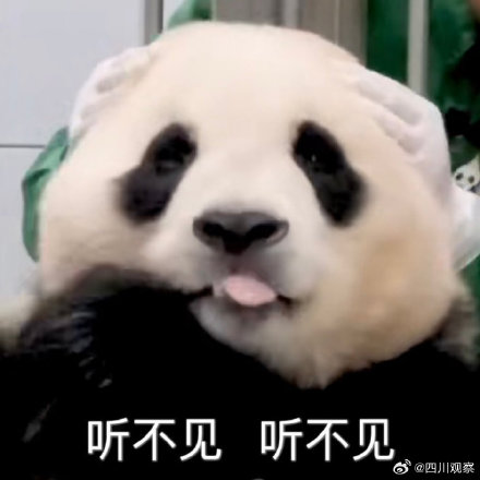 熊猫福宝名场面合集