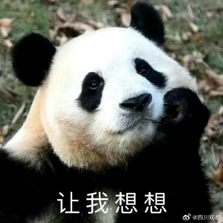 熊猫福宝名场面合集